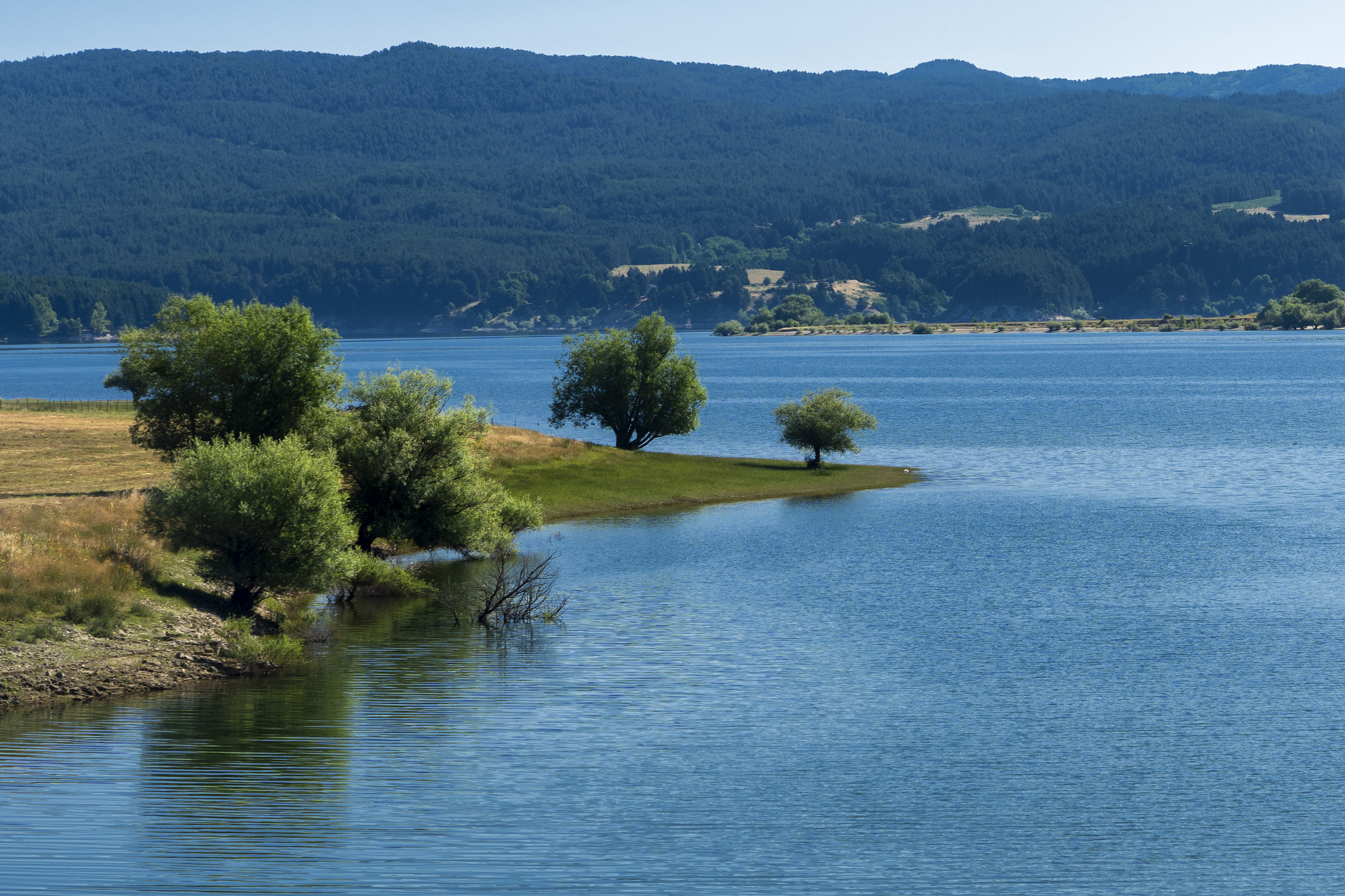 Sila Cupone Lago Cecita